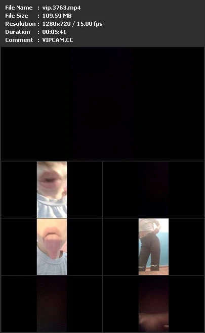 vip.3763.mp4.webp