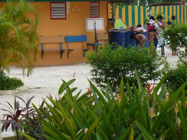 [Image: 3EQXEVkZKx.jpg]