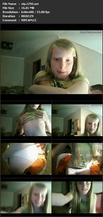 vip.1295.avi.webp