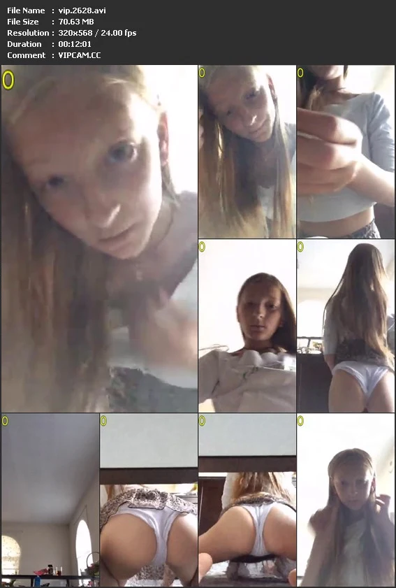 vip.2628.avi.webp