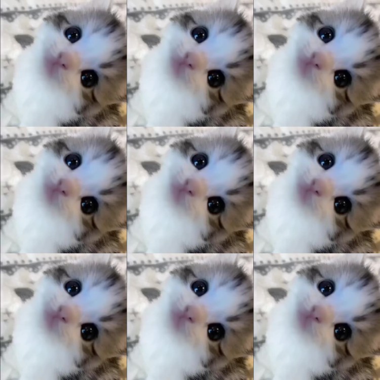 [Image: EOQJqOXmlJ.jpg]