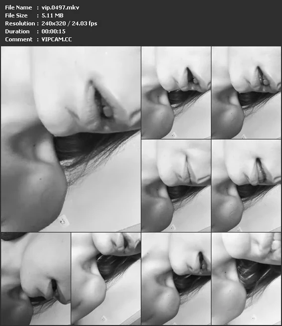 vip.0497.mkv.webp