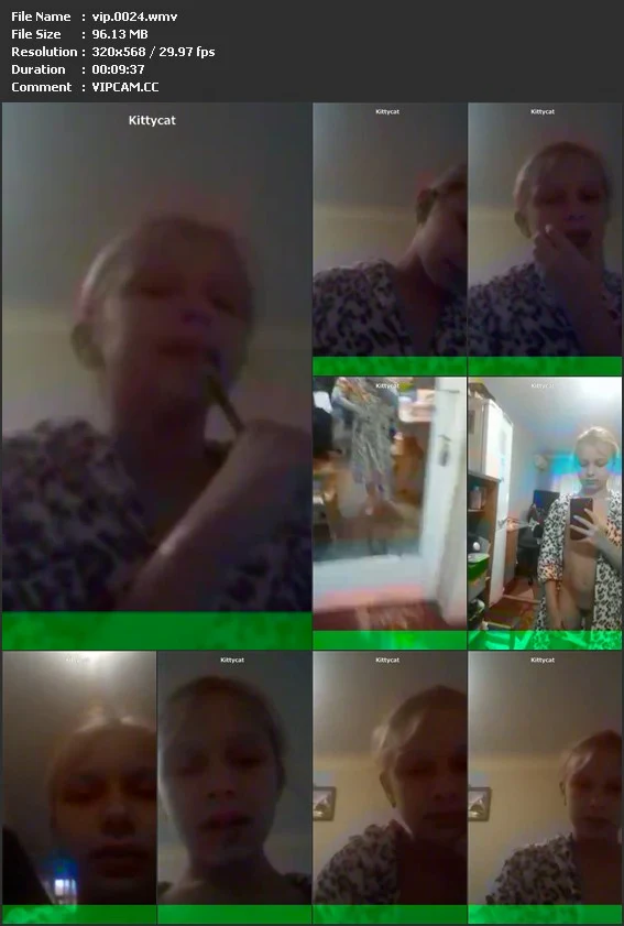vip.0024.wmv.webp