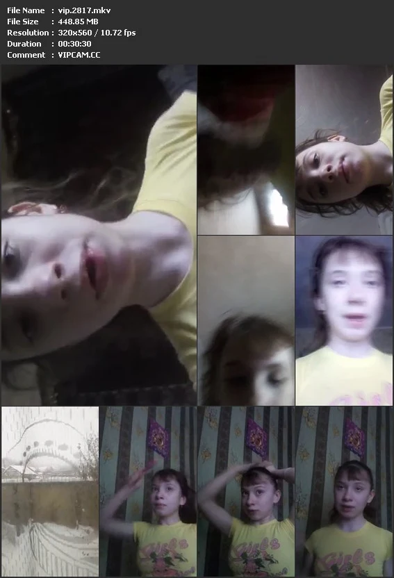 vip.2817.mkv.webp