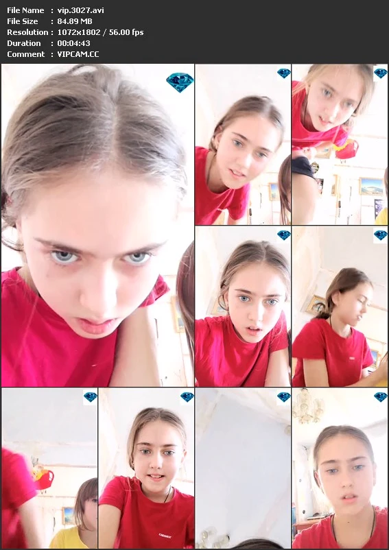 vip.3027.avi.webp