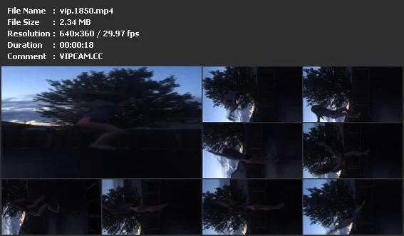 vip.1850.mp4.webp