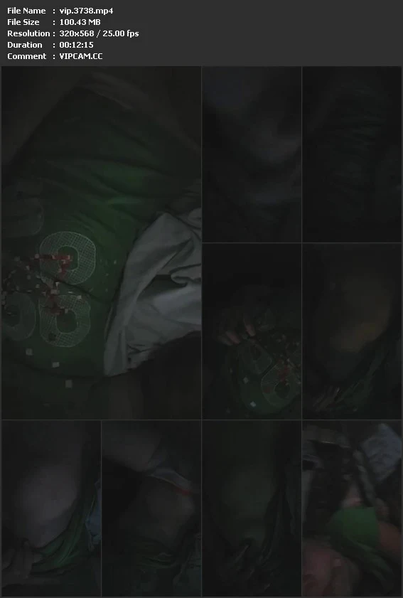 vip.3738.mp4.webp
