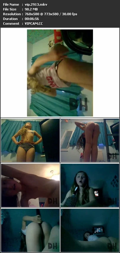 vip.2913.mkv.webp