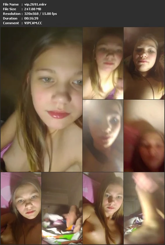 vip.2691.mkv.webp