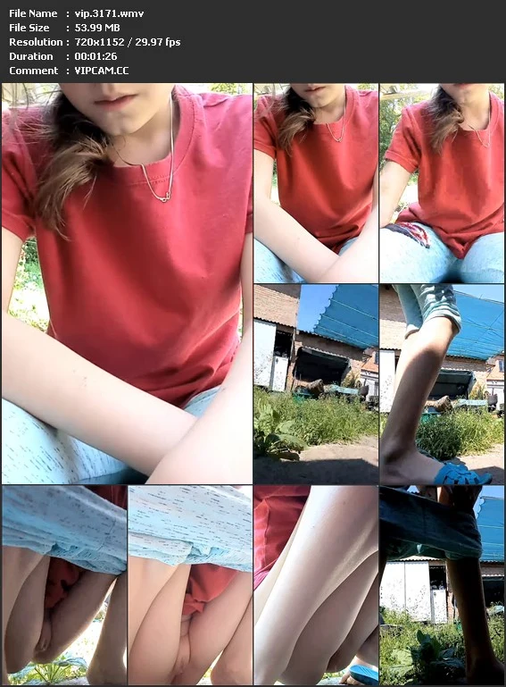 vip.3171.wmv.webp