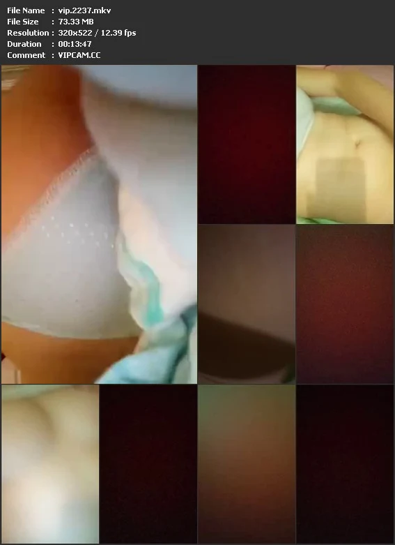 vip.2237.mkv.webp