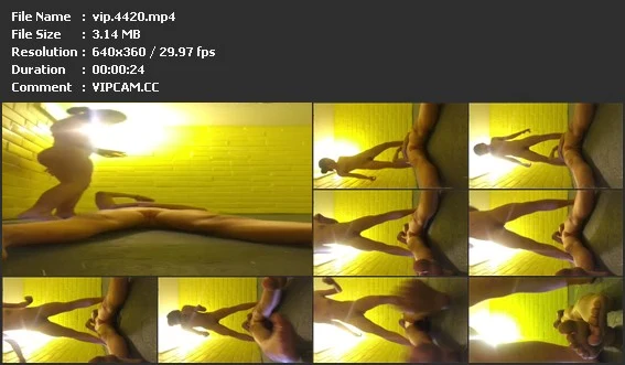 vip.4420.mp4.webp