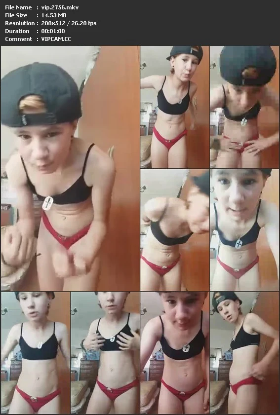 vip.2756.mkv.webp