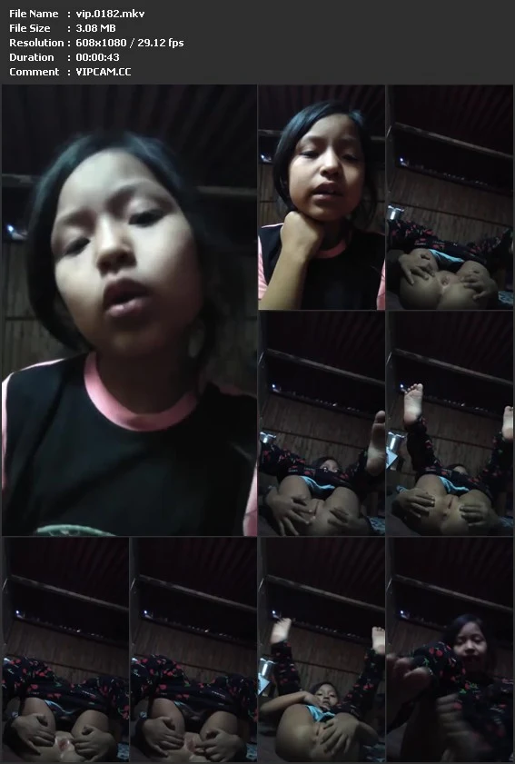 vip.0182.mkv.webp