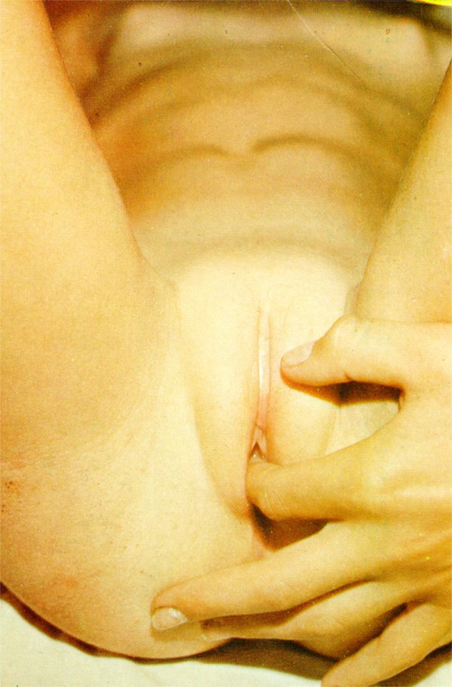 [Image: qxQPbd1Z54.jpg]