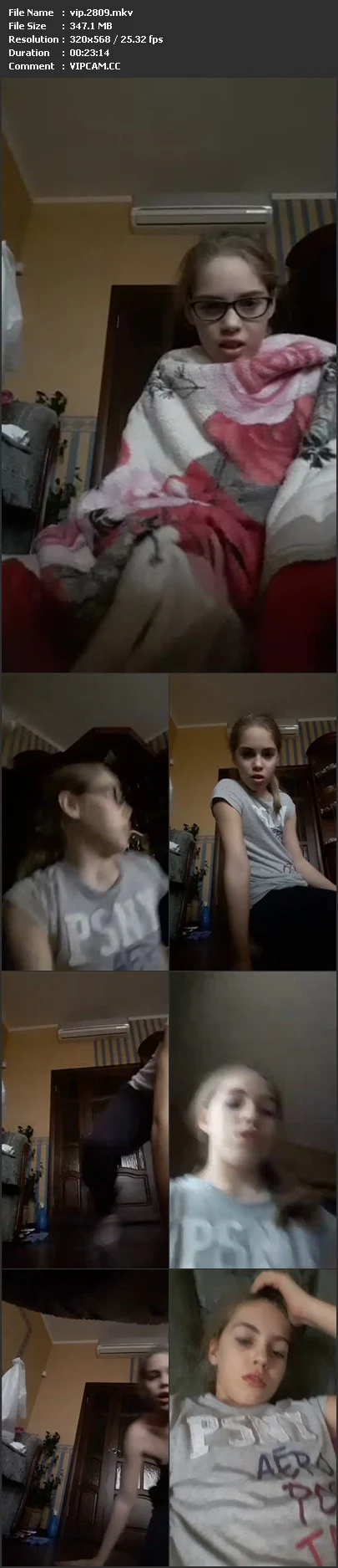 vip.2809.mkv.webp