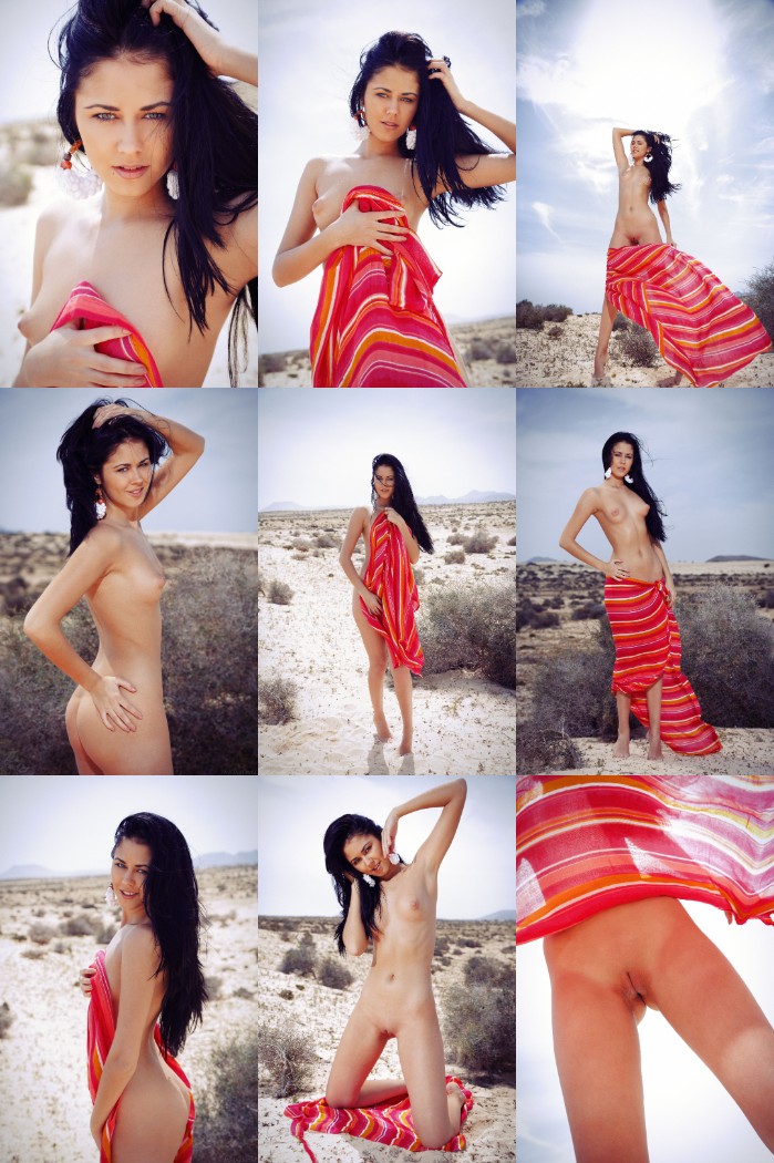 [Image: wVQ4448ZQ6.jpg%5D]