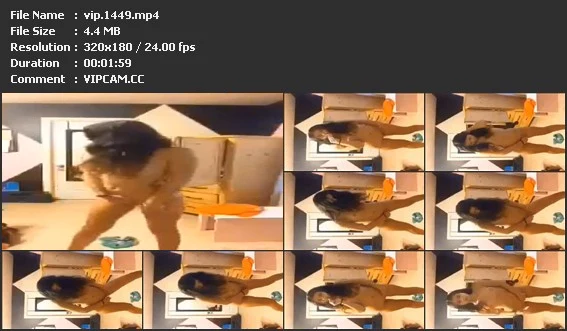 vip.1449.mp4.webp