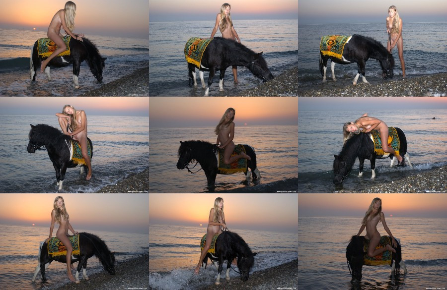 [Image: 8X59Va7Mlk.jpg]