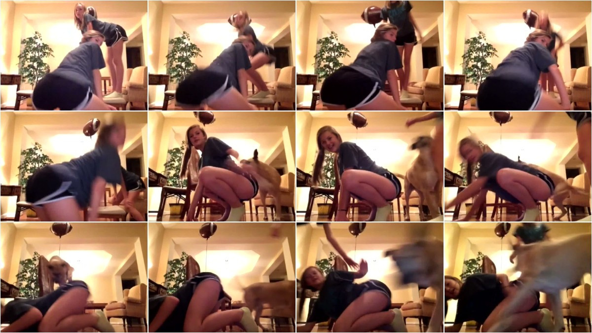 [Image: k2lBm2n25r.jpg]