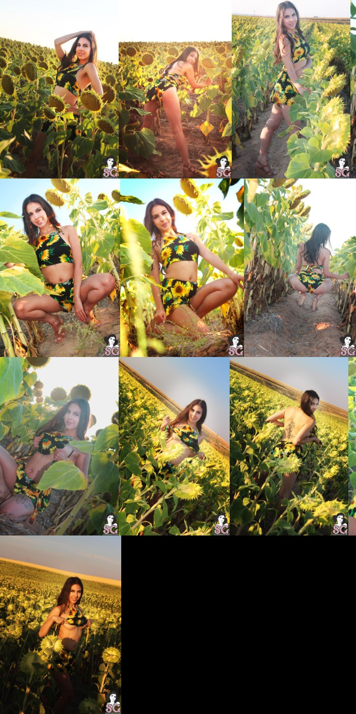 [Image: 3NKMR7jG5n.jpg]