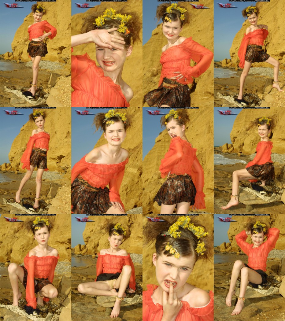 [Image: 3NKMkVk9ln.jpg]
