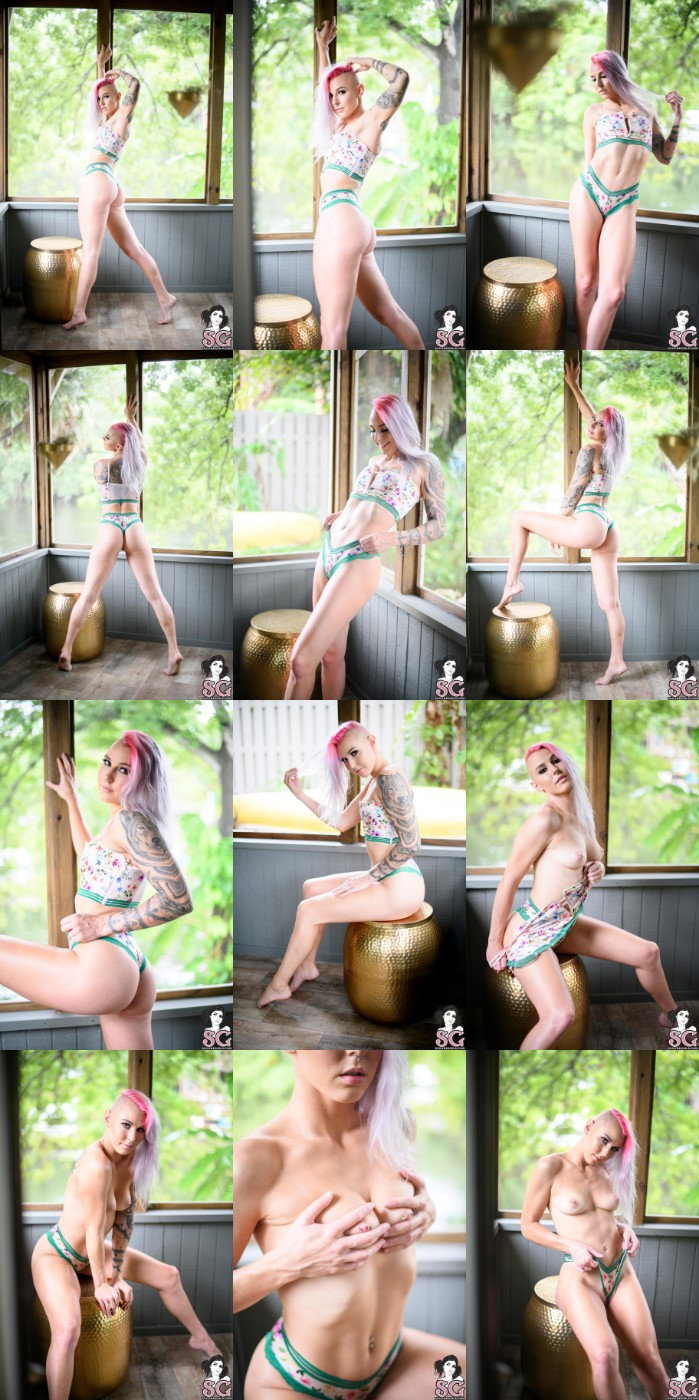 [Image: ALKbgnW15n.jpg]