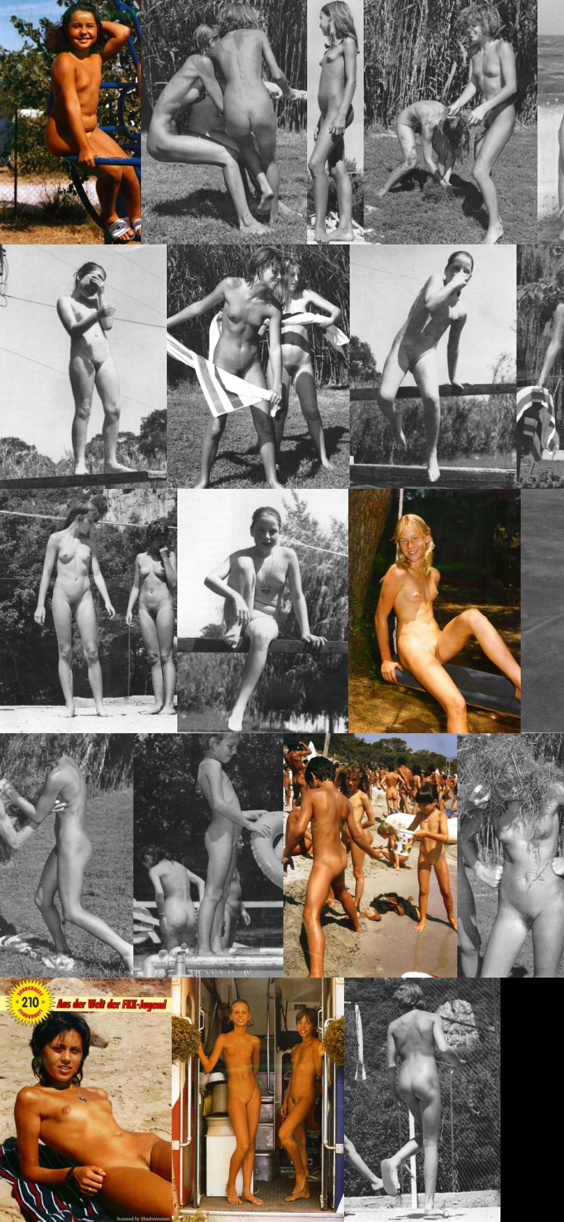 [Image: ALKbkBNO5n.jpg]