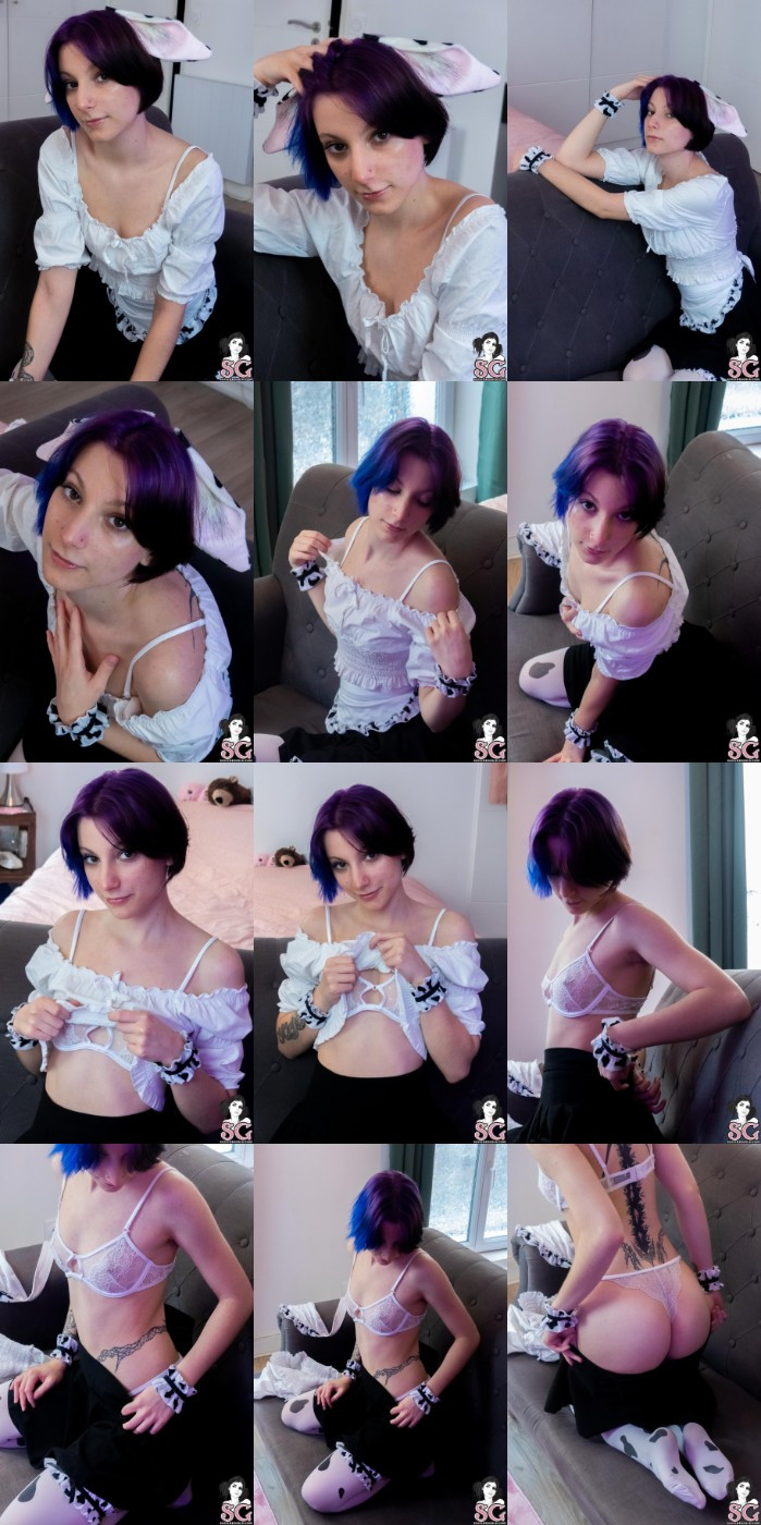 [Image: B151AeOo5y.jpg]