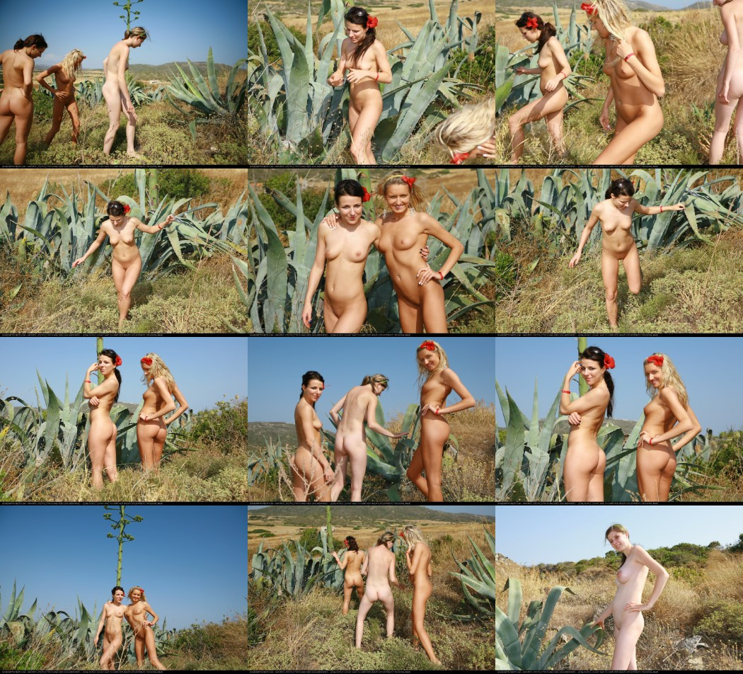 [Image: GdQywA6e5y.jpg]