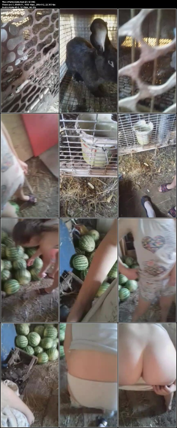 [Image: M9Qg3ZmZQa.jpg]