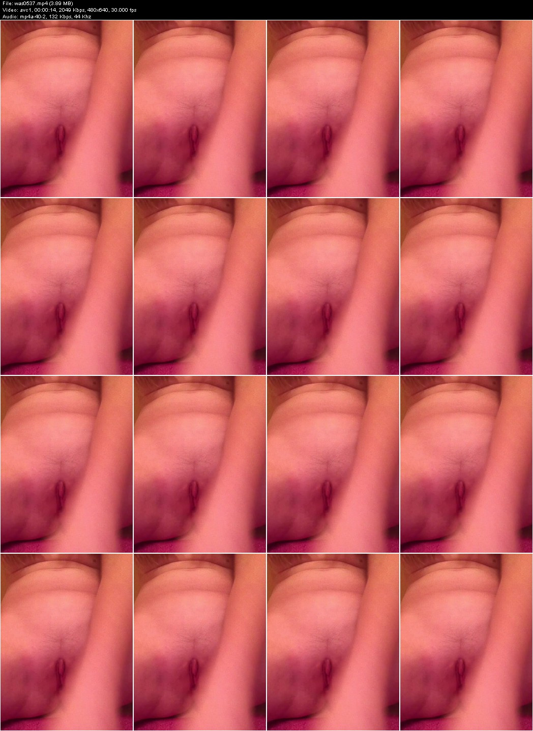 [Image: NPQq9N41Qd.jpg]