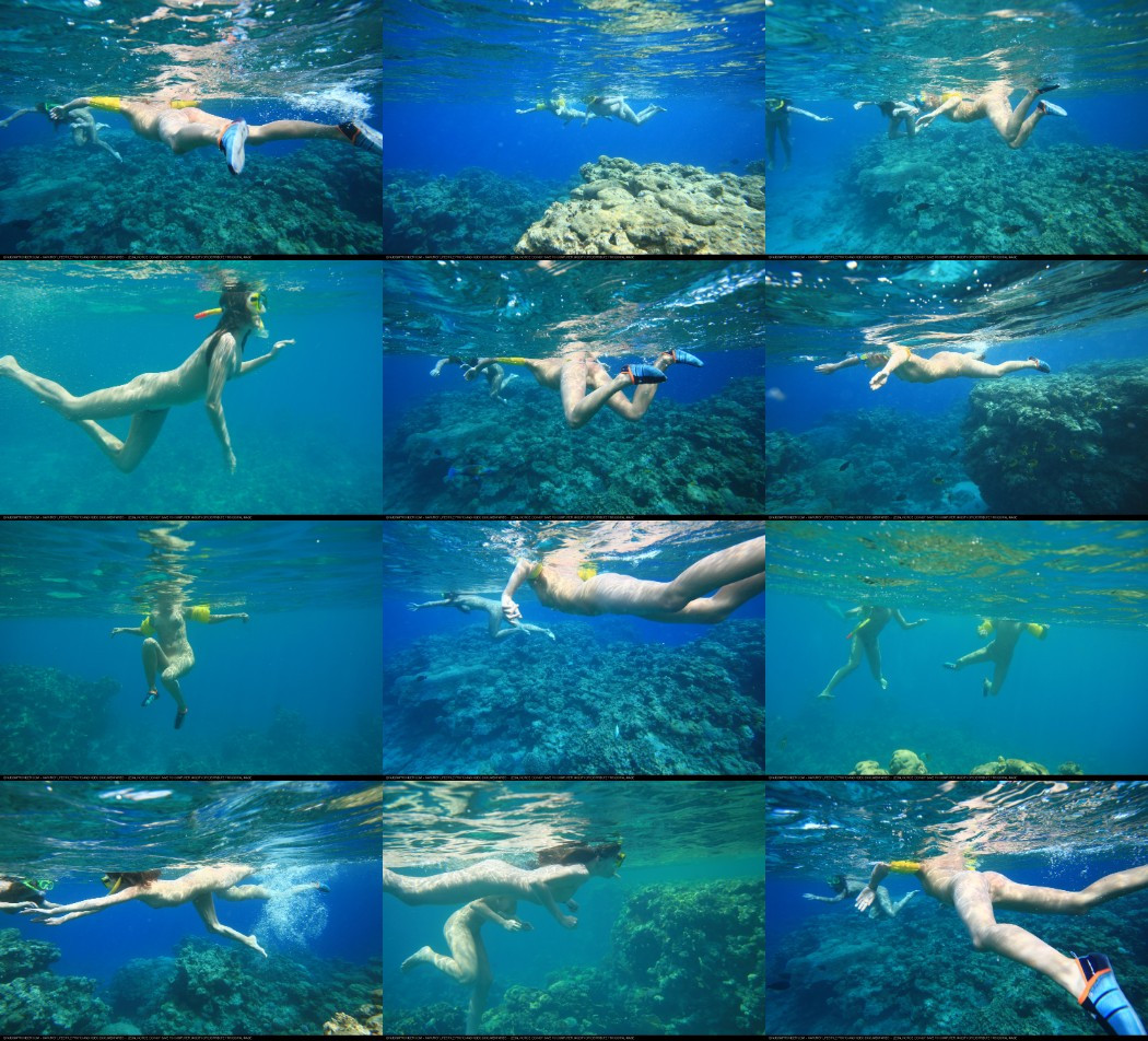 [Image: NPQqwoaX5d.jpg]