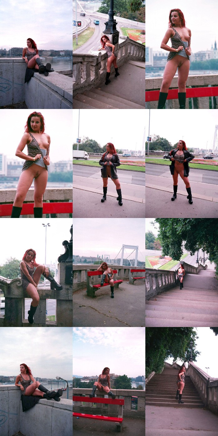 [Image: PVKZP0WVlq.jpg]