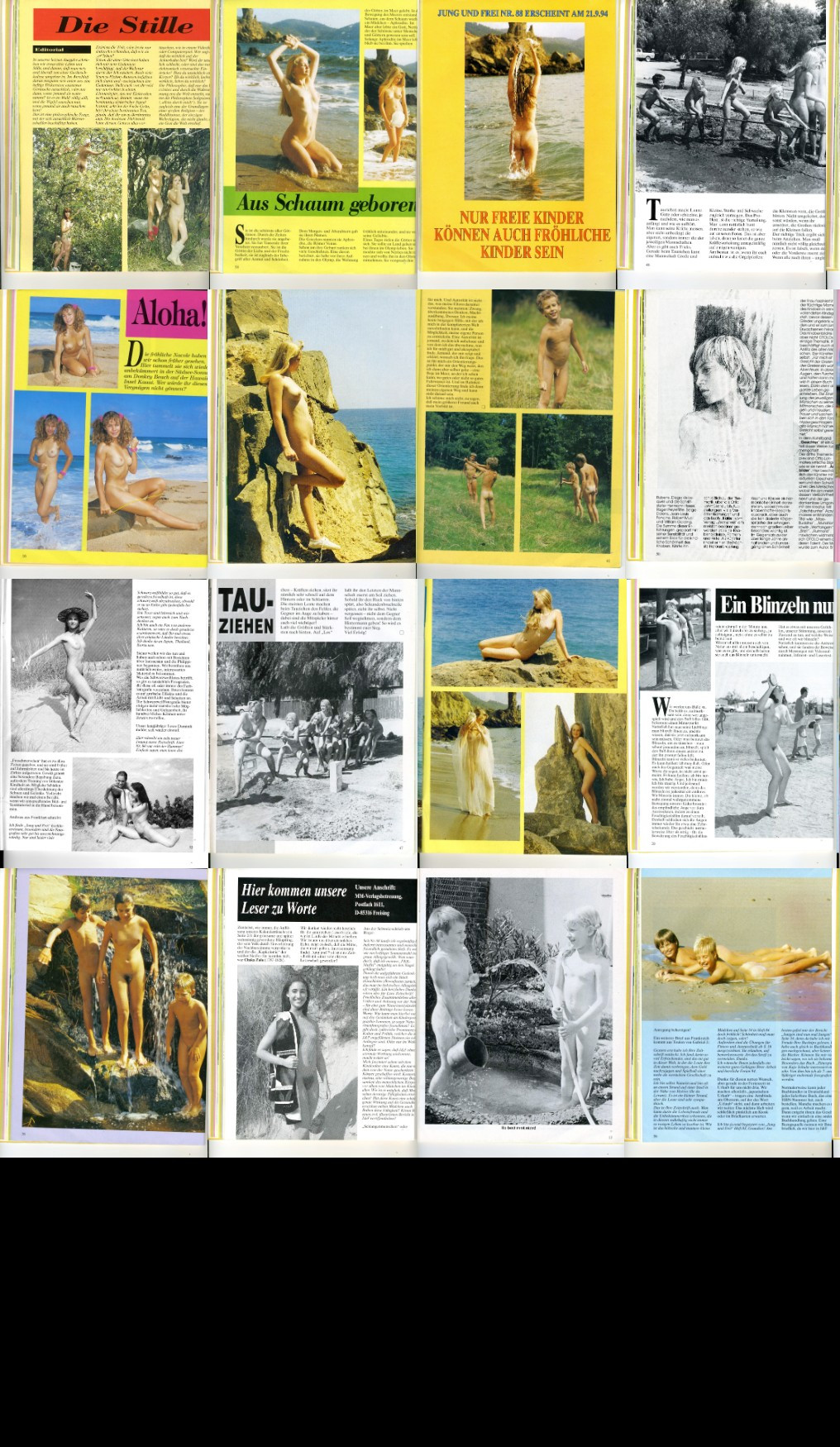 [Image: PVKZP4nRlq.jpg]