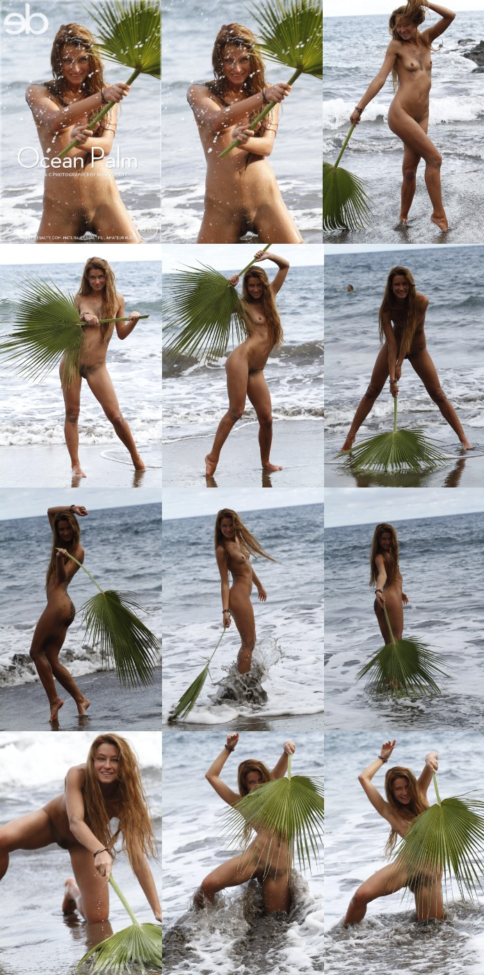 [Image: eM50dwxJ5p.jpg]