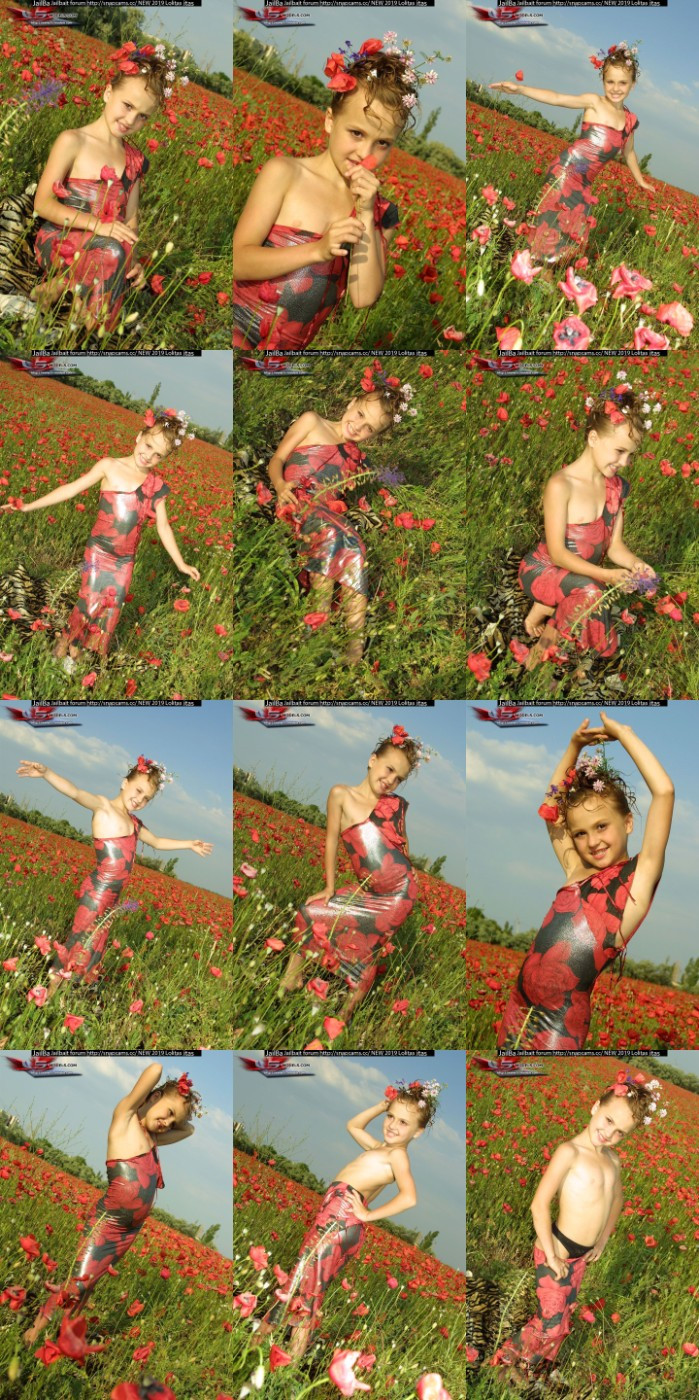 [Image: eM50q6Yylp.jpg]