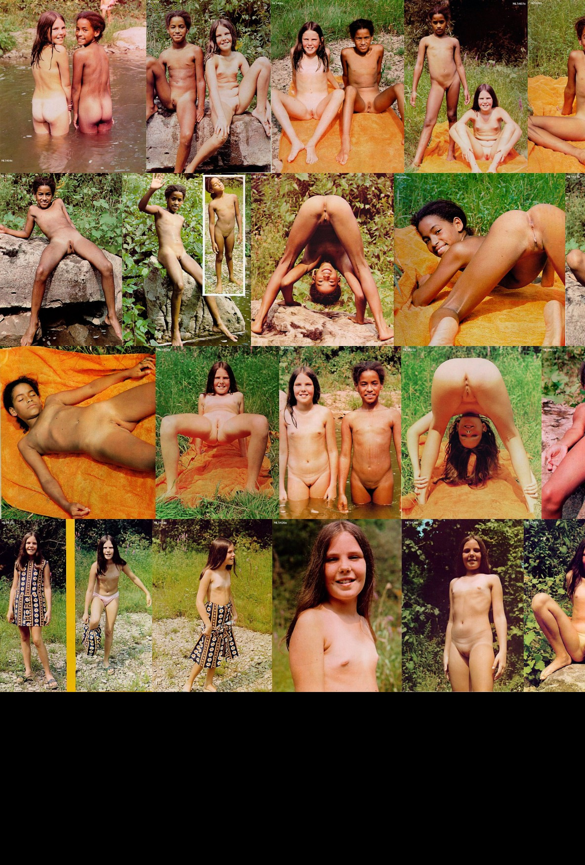 [Image: eM50qVO4lp.jpg]