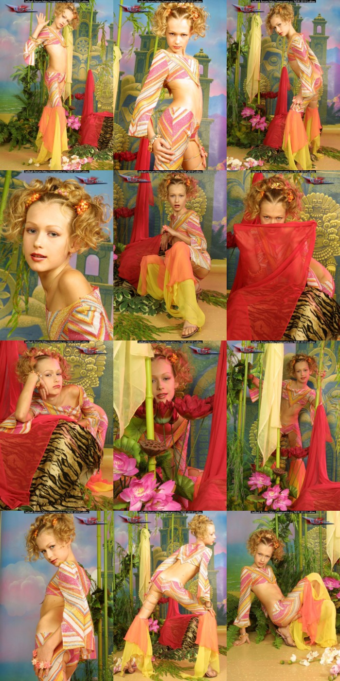 [Image: gN58OONGKV.jpg]