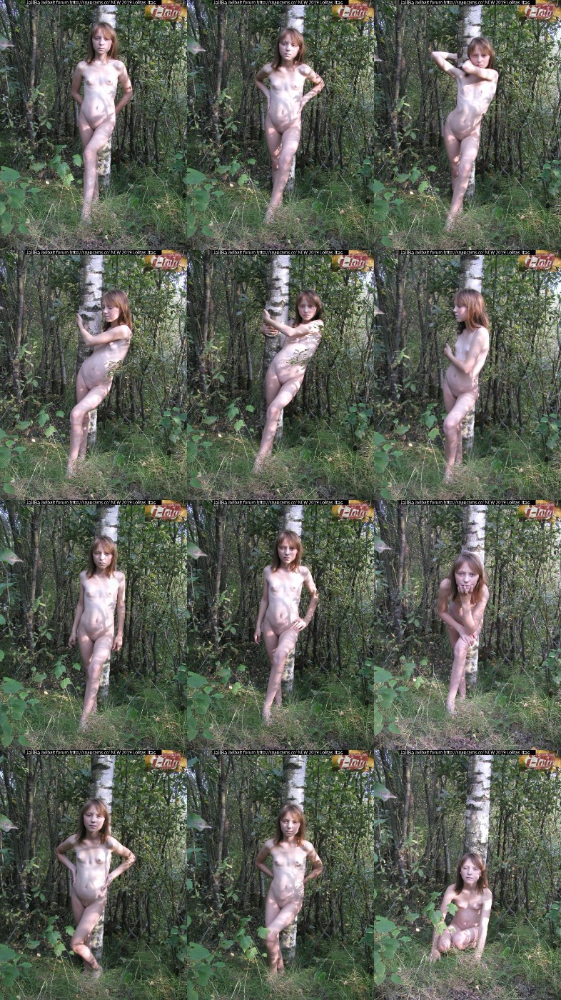 [Image: nR53RR1LKq.jpg]