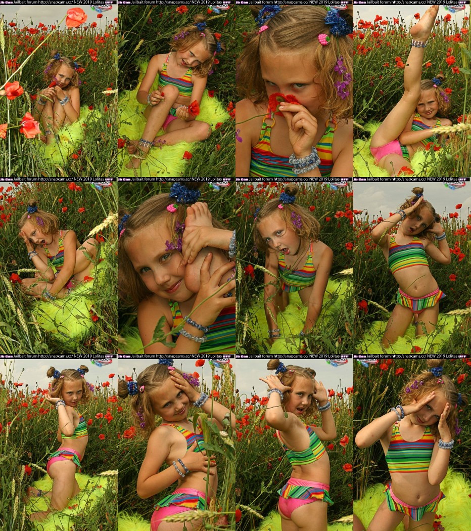 [Image: nR53q63VQq.jpg]