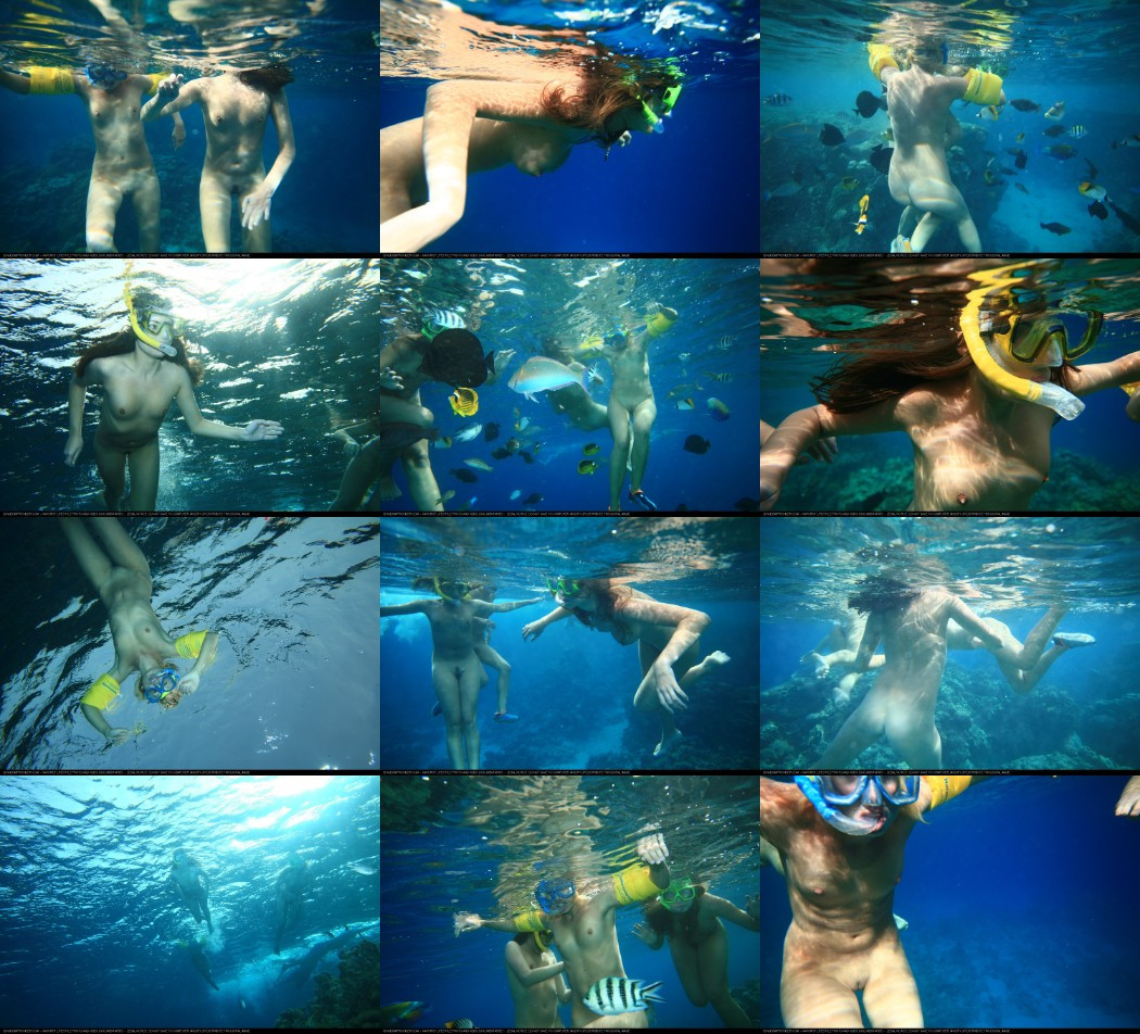 [Image: q35D1RvrlJ.jpg]