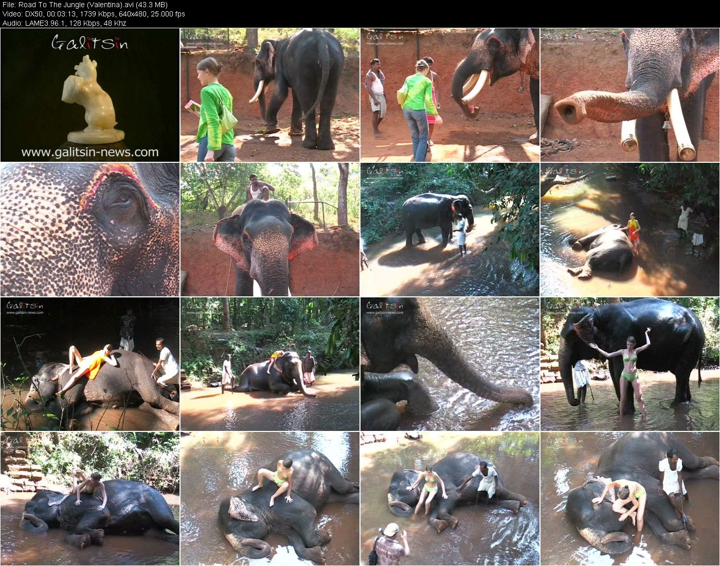 [Image: qglepovo5G.jpg]