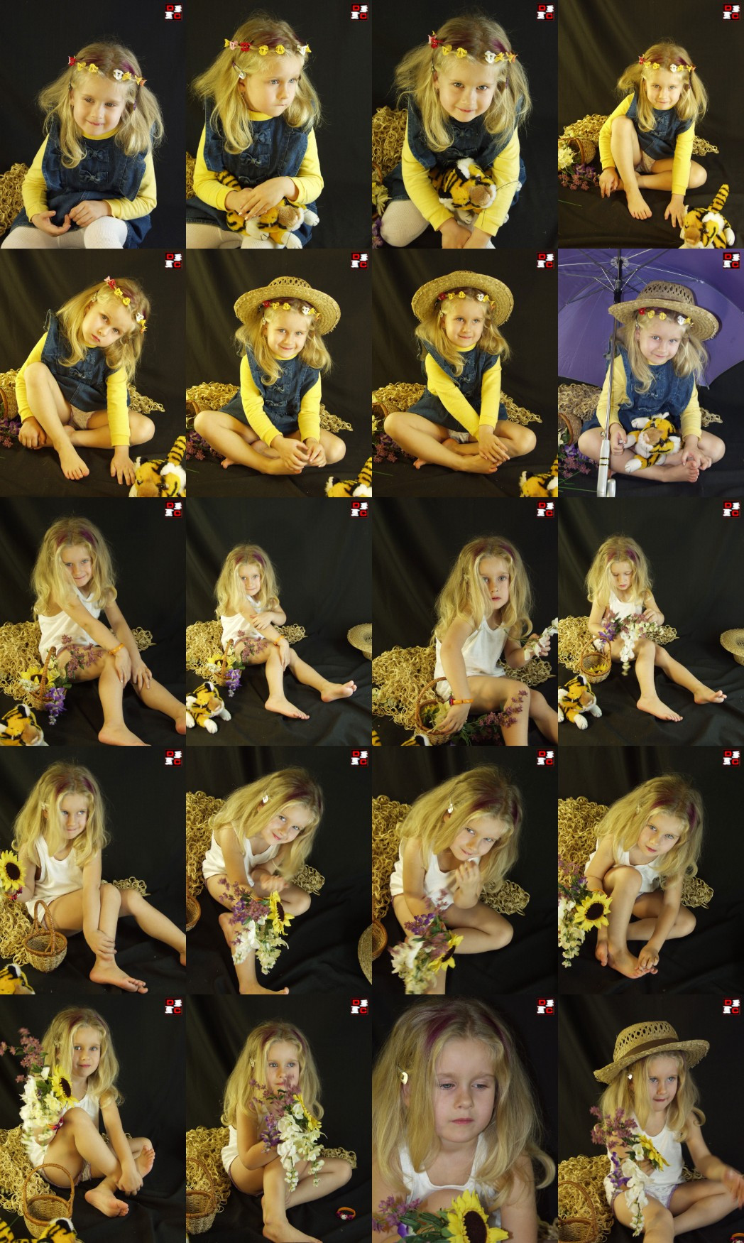 [Image: qx5v0qyYQp.jpg]