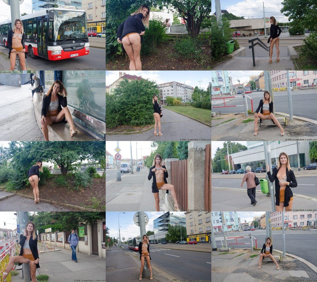 [Image: qx5vLVPYQp.jpg]