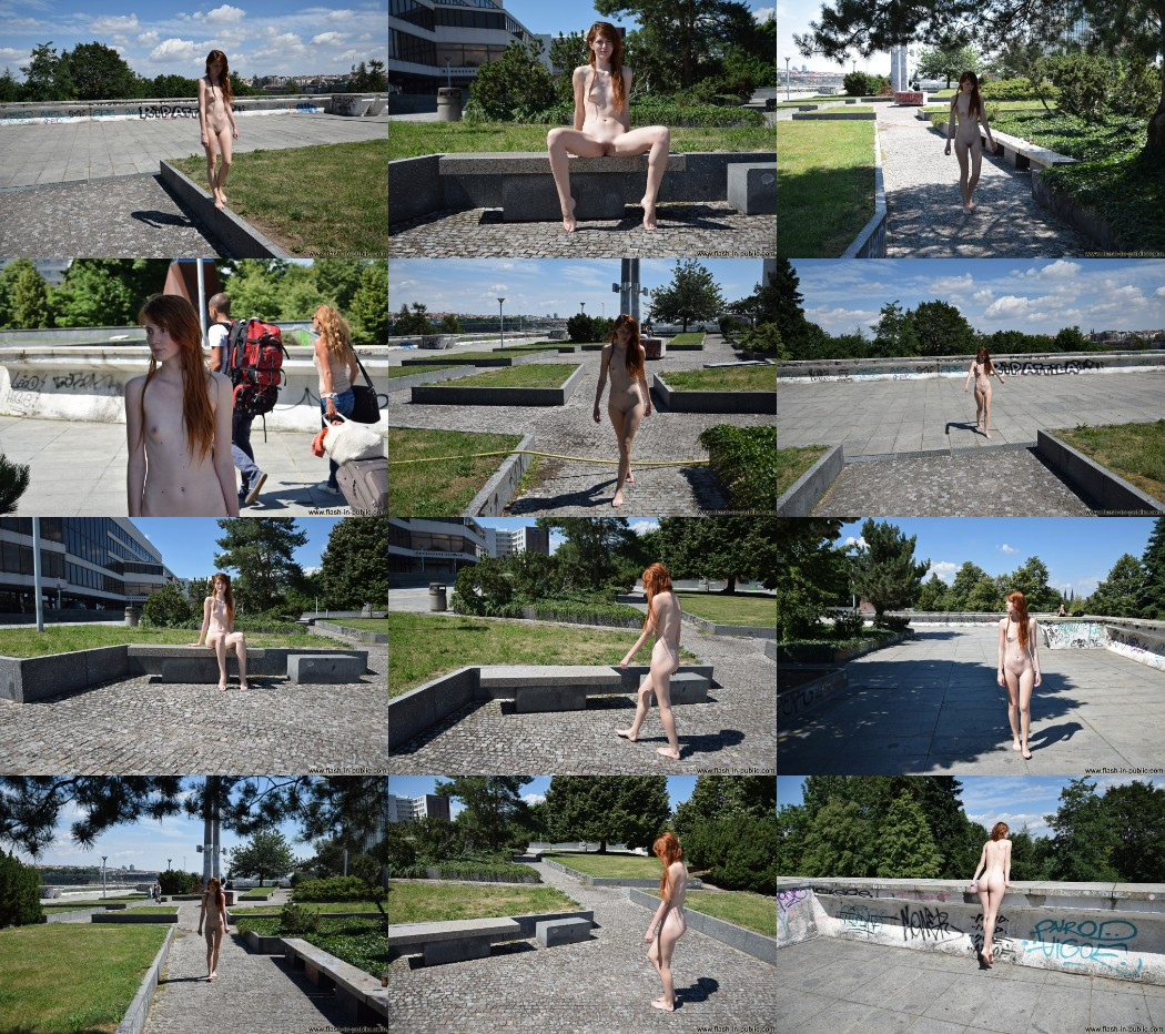 [Image: qx5vLoGwQp.jpg]