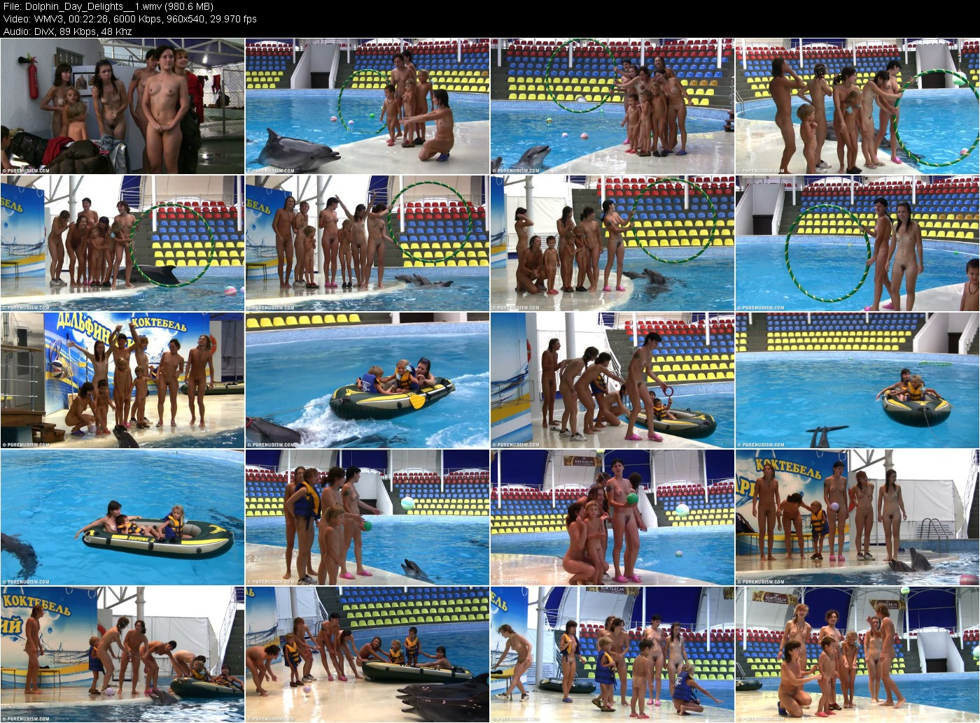 [Image: qx5vLwdPQp.jpg]