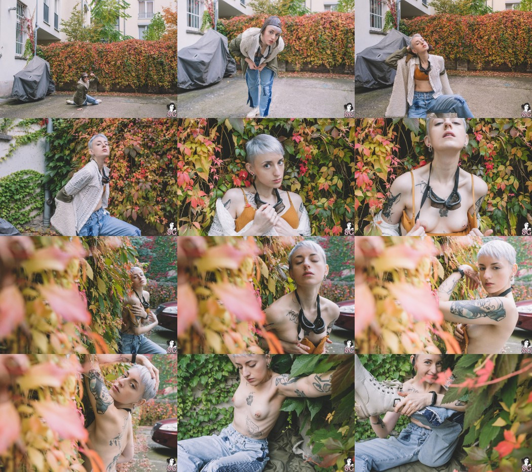 [Image: rPK2AdXmQv.jpg]