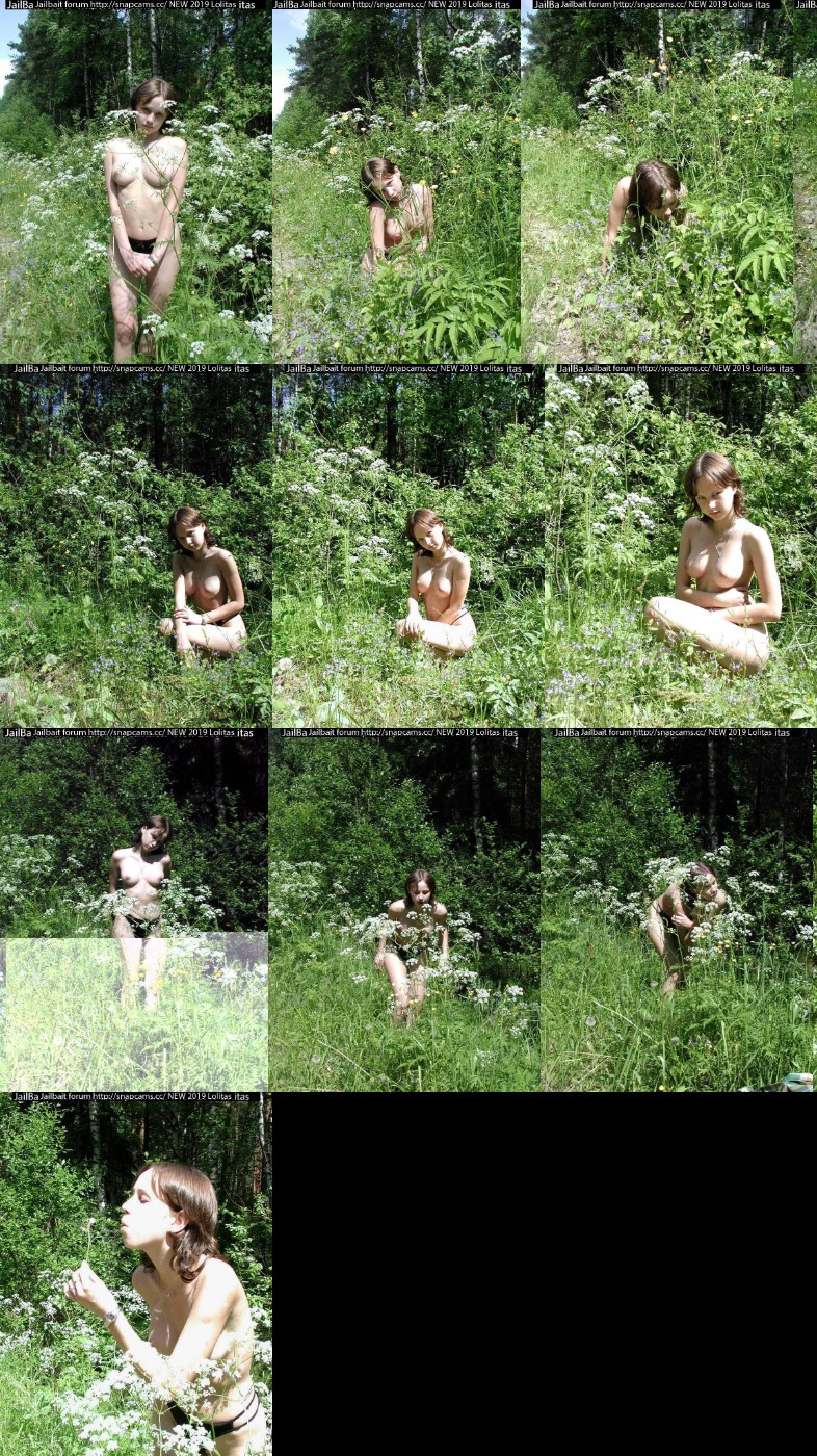 [Image: vBlmkq1GKa.jpg]