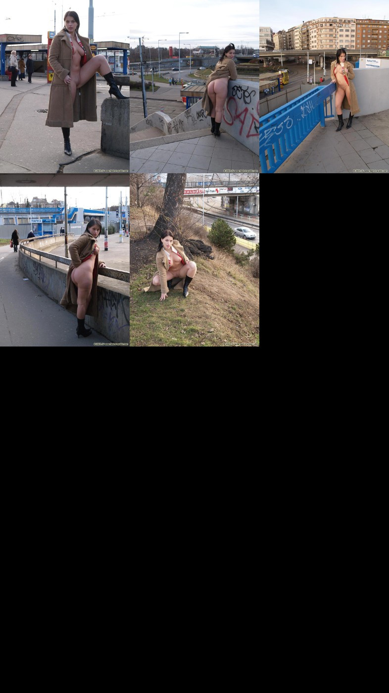 [Image: wVQ44ZxxQ6.jpg]